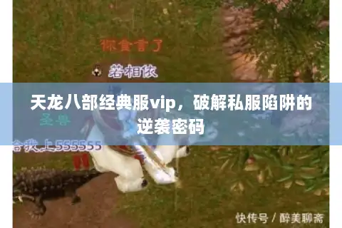 天龙八部经典服vip，破解私服陷阱的逆袭密码