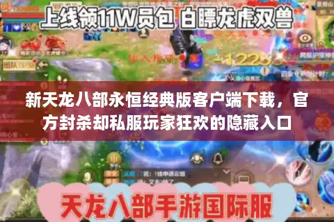 新天龙八部永恒经典版客户端下载，官方封杀却私服玩家狂欢的隐藏入口