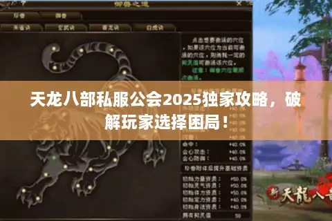 天龙八部私服公会2025独家攻略，破解玩家选择困局！