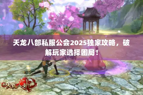 天龙八部私服公会2025独家攻略，破解玩家选择困局！