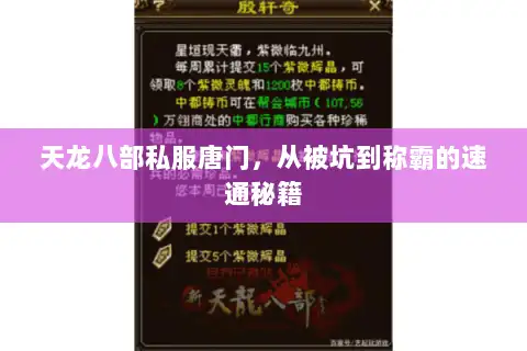 天龙八部私服唐门，从被坑到称霸的速通秘籍