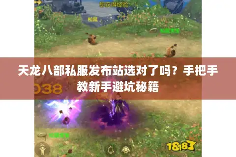 天龙八部私服发布站选对了吗?手把手教新手避坑秘籍 天龙八部私服发布站选对了吗?手把手教新手避坑秘籍
