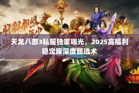 天龙八部3私服独家曝光，2025高福利稳定服深度甄选术