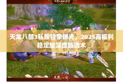 天龙八部3私服独家曝光，2025高福利稳定服深度甄选术