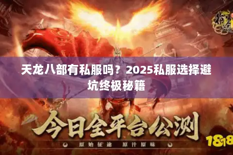 天龙八部有私服吗？2025私服选择避坑终极秘籍