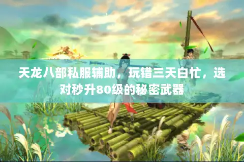 天龙八部私服辅助，玩错三天白忙，选对秒升80级的秘密武器