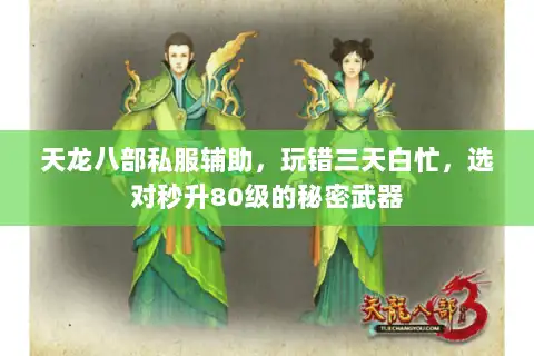 天龙八部私服辅助，玩错三天白忙，选对秒升80级的秘密武器
