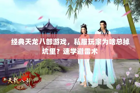 经典天龙八部游戏，私服玩家为啥总掉坑里？速学避雷术