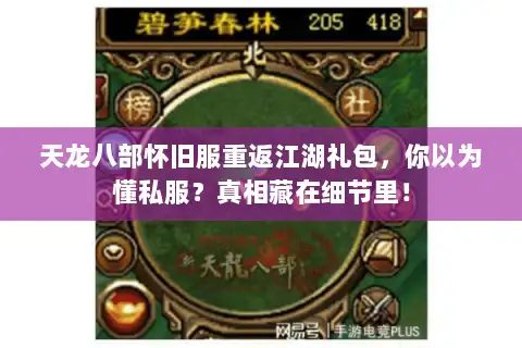 天龙八部怀旧服重返江湖礼包，你以为懂私服？真相藏在细节里！
