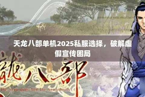 天龙八部单机2025私服选择，破解虚假宣传困局