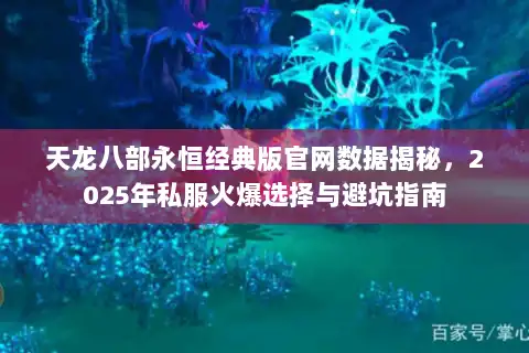 天龙八部永恒经典版官网数据揭秘，2025年私服火爆选择与避坑指南