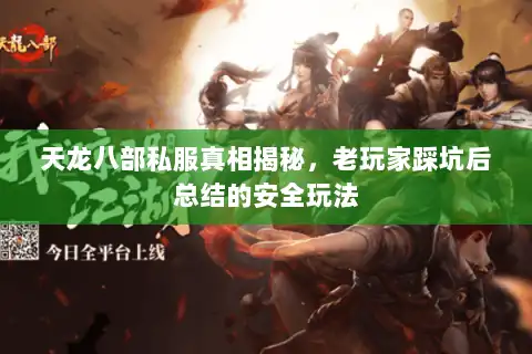 天龙八部私服真相揭秘，老玩家踩坑后总结的安全玩法