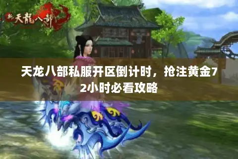 天龙八部私服开区倒计时,抢注黄金72小时必看攻略 天龙八部私服开区倒计时,抢注黄金72小时必看攻略