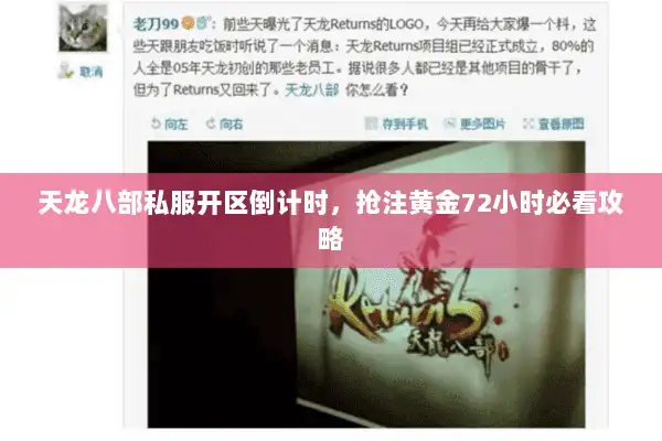 天龙八部私服开区倒计时,抢注黄金72小时必看攻略 天龙八部私服开区倒计时,抢注黄金72小时必看攻略