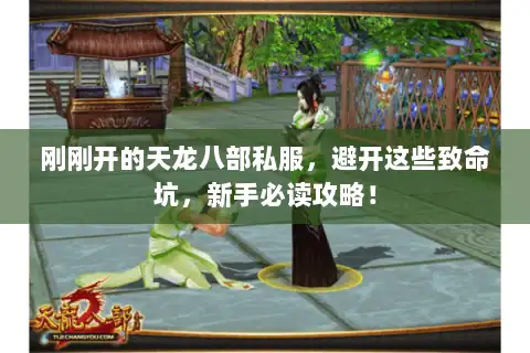 刚刚开的天龙八部私服，避开这些致命坑，新手必读攻略！