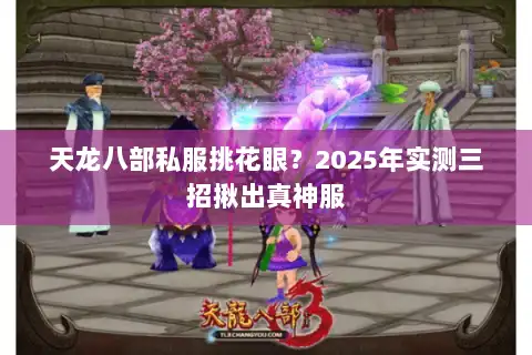 天龙八部私服挑花眼？2025年实测三招揪出真神服