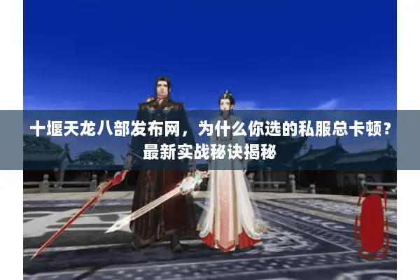 十堰天龙八部发布网，为什么你选的私服总卡顿？最新实战秘诀揭秘