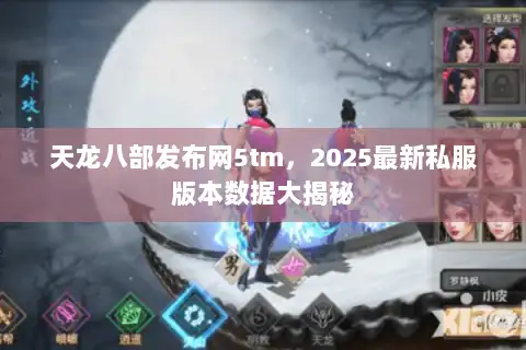 天龙八部发布网5tm，2025最新私服版本数据大揭秘