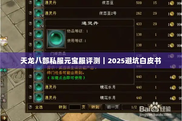 天龙八部私服元宝服评测｜2025避坑白皮书