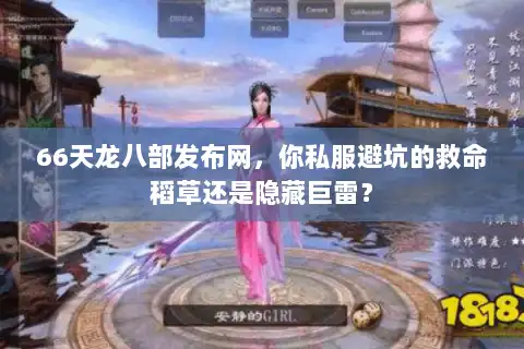 66天龙八部发布网，你私服避坑的救命稻草还是隐藏巨雷？