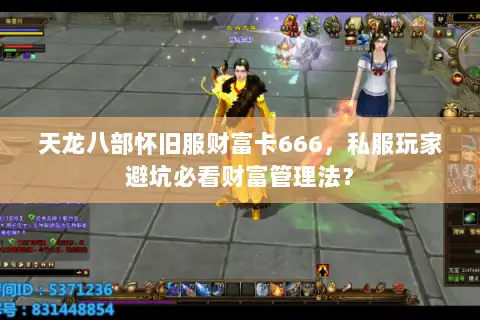 天龙八部怀旧服财富卡666，私服玩家避坑必看财富管理法？
