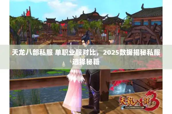 天龙八部私服 单职业服对比，2025数据揭秘私服选择秘籍