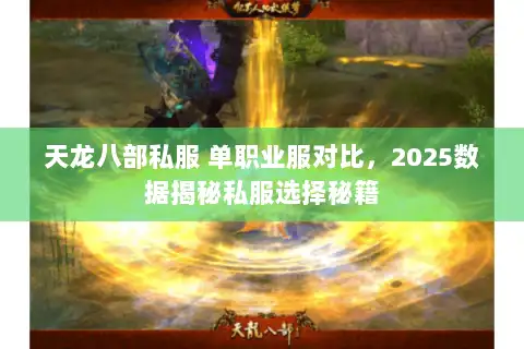 天龙八部私服 单职业服对比，2025数据揭秘私服选择秘籍