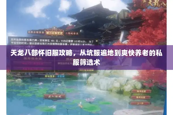 天龙八部怀旧服攻略，从坑服遍地到爽快养老的私服筛选术