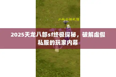 2025天龙八部sf终极探秘，破解虚假私服的玩家内幕