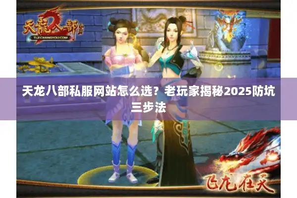 天龙八部私服网站怎么选？老玩家揭秘2025防坑三步法