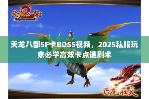 天龙八部SF卡BOSS视频，2025私服玩家必学高效卡点速刷术