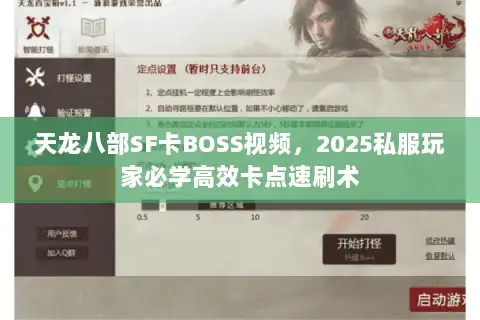 天龙八部SF卡BOSS视频，2025私服玩家必学高效卡点速刷术