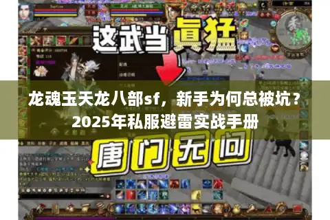 龙魂玉天龙八部sf,新手为何总被坑?2025年私服避雷实战手册 龙魂玉天龙八部sf,新手为何总被坑?2025年私服避雷实战手册