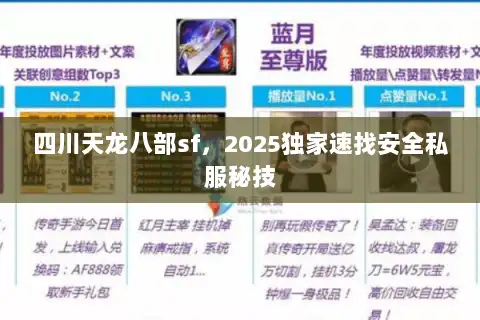四川天龙八部sf,2025独家速找安全私服秘技 四川天龙八部sf,2025独家速找安全私服秘技