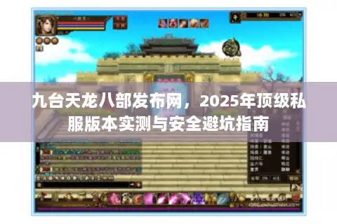 九台天龙八部发布网，2025年顶级私服版本实测与安全避坑指南