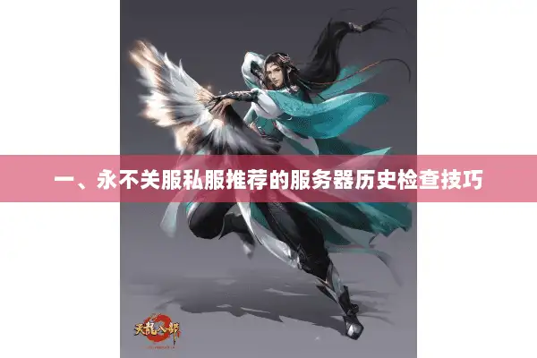 一、永不关服私服推荐的服务器历史检查技巧