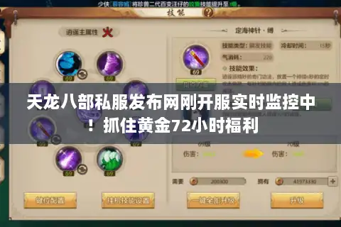 天龙八部私服发布网刚开服实时监控中！抓住黄金72小时福利