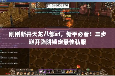 刚刚新开天龙八部sf，新手必看！三步避开陷阱锁定最佳私服