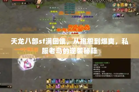 天龙八部sf满回馈，从抱怨到爆爽，私服老鸟的逆袭秘籍