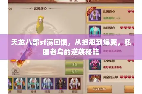 天龙八部sf满回馈，从抱怨到爆爽，私服老鸟的逆袭秘籍