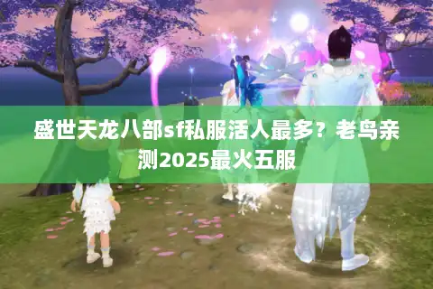 盛世天龙八部sf私服活人最多？老鸟亲测2025最火五服
