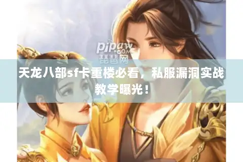 天龙八部sf卡重楼必看，私服漏洞实战教学曝光！