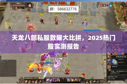 天龙八部私服数据大比拼，2025热门服实测报告