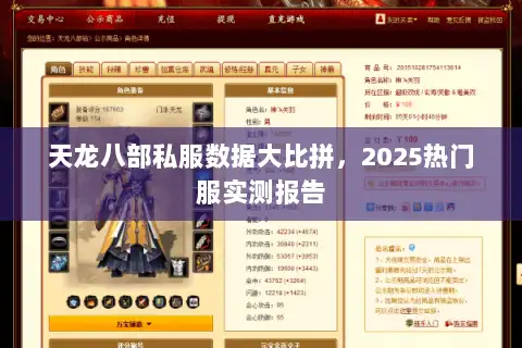 天龙八部私服数据大比拼，2025热门服实测报告