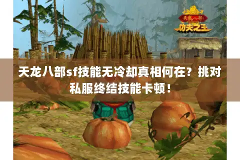 天龙八部sf技能无冷却真相何在？挑对私服终结技能卡顿！