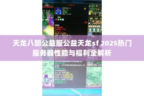 天龙八部公益服公益天龙sf 2025热门服务器性能与福利全解析 天龙八部公益服公益天龙sf 2025热门服务器性能与福利全解析