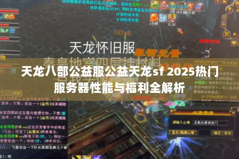 天龙八部公益服公益天龙sf 2025热门服务器性能与福利全解析 天龙八部公益服公益天龙sf 2025热门服务器性能与福利全解析