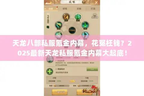 天龙八部私服氪金内幕，花冤枉钱？2025最新天龙私服氪金内幕大起底！