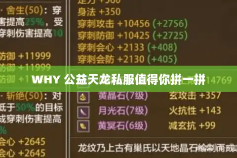 WHY 公益天龙私服值得你拼一拼