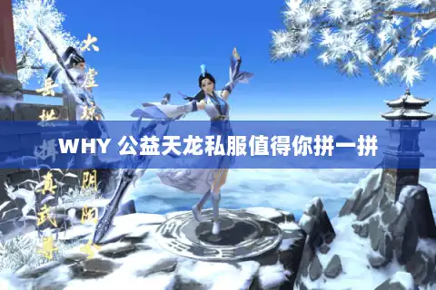 WHY 公益天龙私服值得你拼一拼
